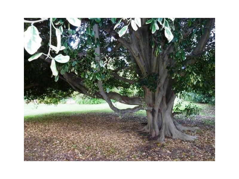 56 and 56a Aldinga Road, Willunga SA 5172