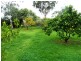 75 St Andrews Terrace, Willunga SA 5172