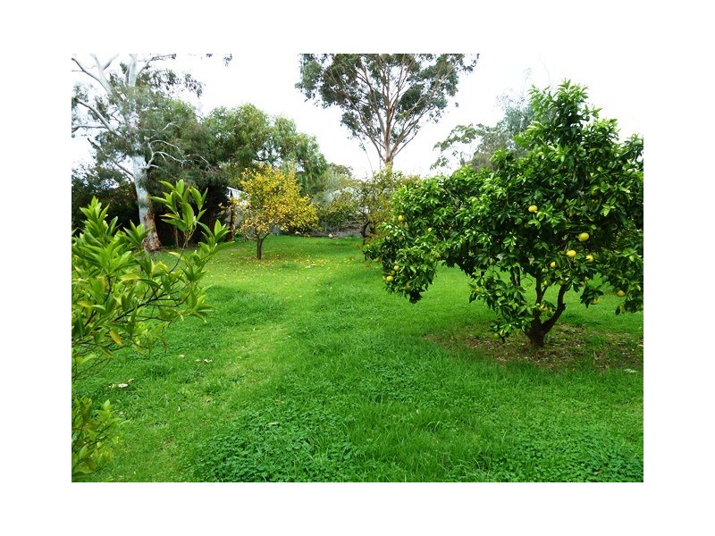 75 St Andrews Terrace, Willunga SA 5172