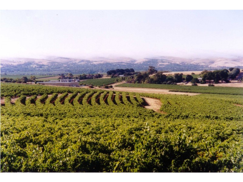 91 Main Road, Mclaren Vale SA 5171