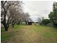 29 Old Coach Road, Aldinga SA 5173