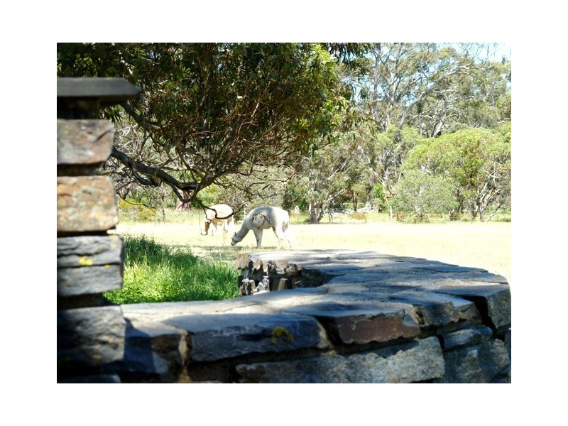 208 Oakley Road, Mclaren Vale SA 5171