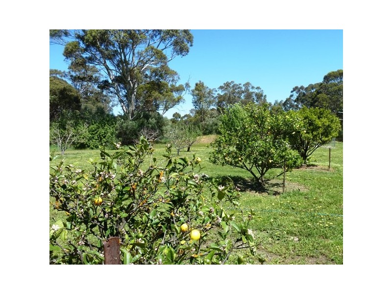 208 Oakley Road, Mclaren Vale SA 5171