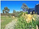 546 Blewitt Springs Road, Blewitt Springs SA 5171