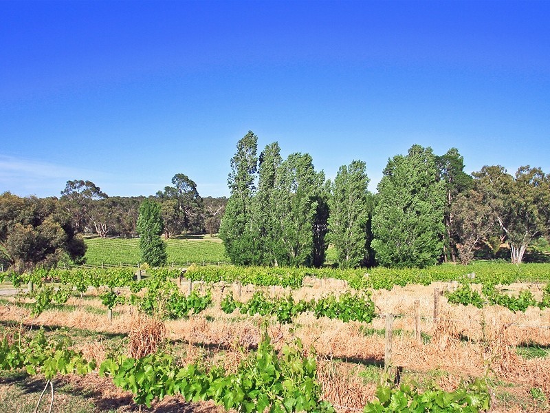 546 Blewitt Springs Road, Blewitt Springs SA 5171