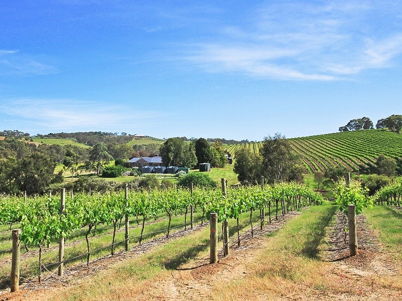 546 Blewitt Springs Road, Blewitt Springs SA 5171