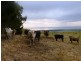 Lot 101 Delabole Road, Willunga Hill SA 5172
