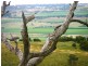 Lot 101 Delabole Road, Willunga Hill SA 5172
