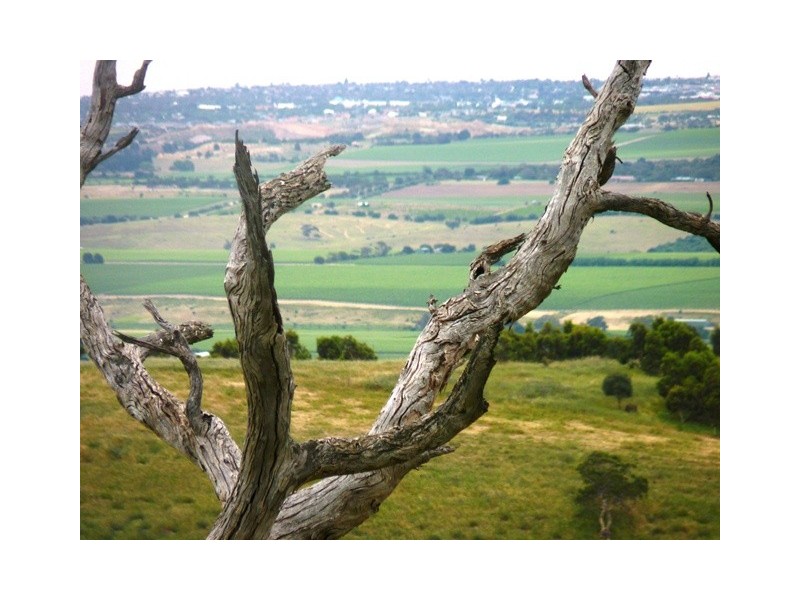 Lot 101 Delabole Road, Willunga Hill SA 5172