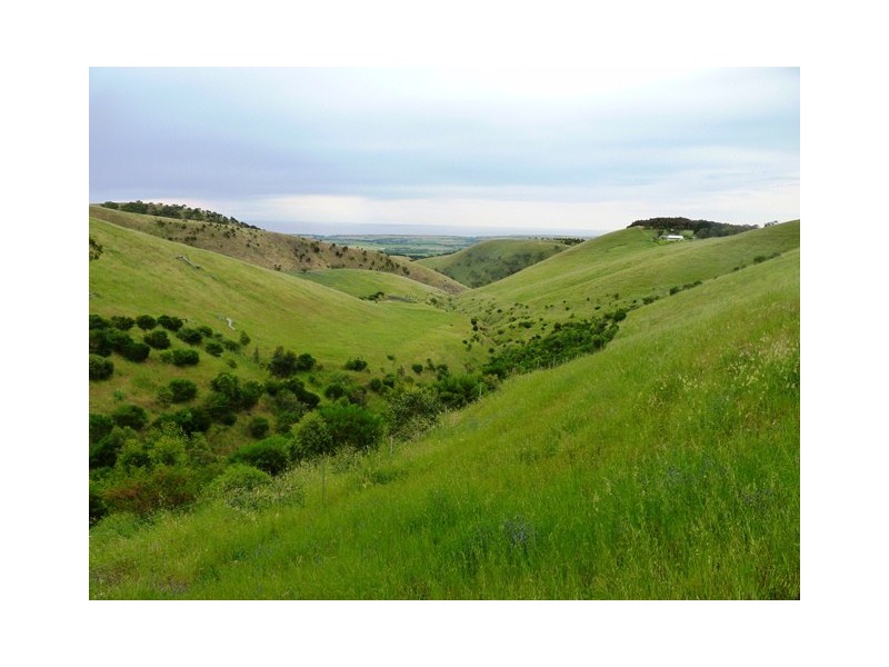 Lot 101 Delabole Road, Willunga Hill SA 5172