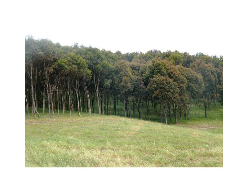 Lot 101 Delabole Road, Willunga Hill SA 5172
