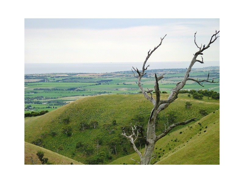 Lot 101 Delabole Road, Willunga Hill SA 5172