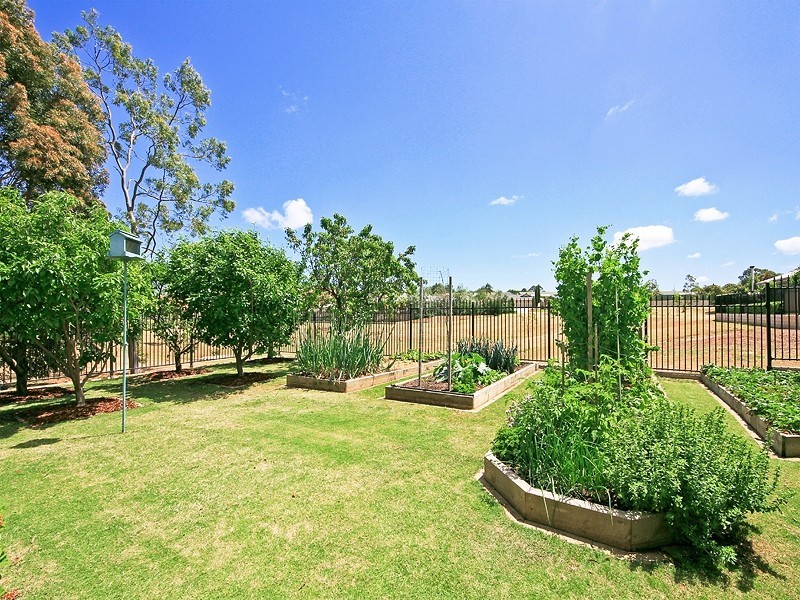 16 Grapevine Lane, Mclaren Vale SA 5171