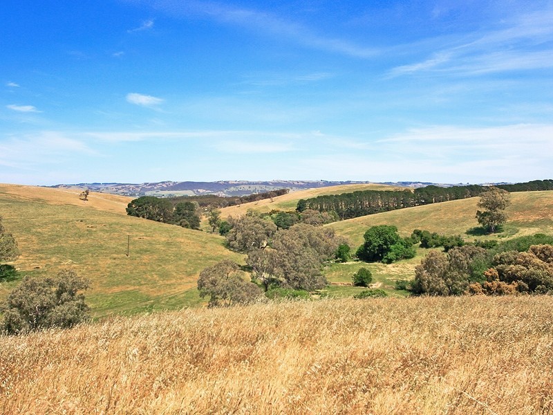 184 Old Sellicks Hill Road, Sellicks Hill SA 5174