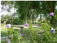 Lot 11 Pages Flat Road, Myponga SA 5202