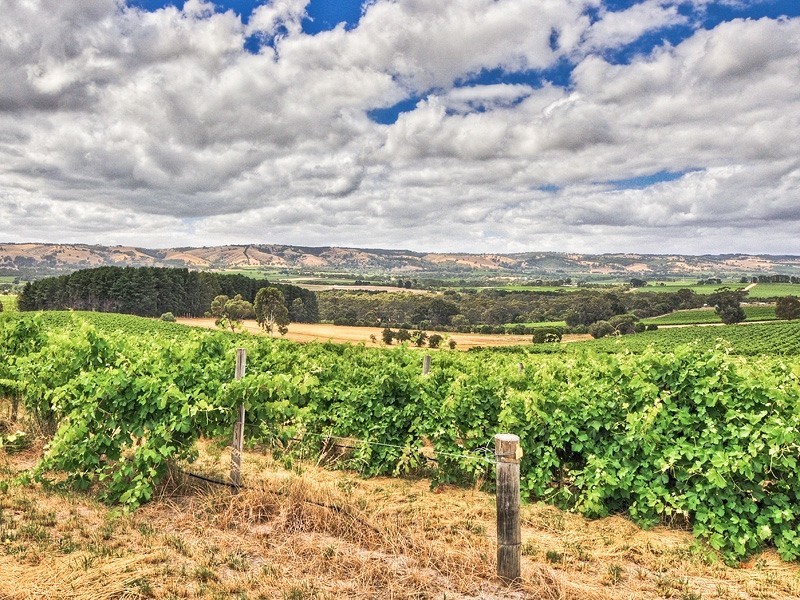 401 Blewitt Springs Road, Blewitt Springs SA 5171