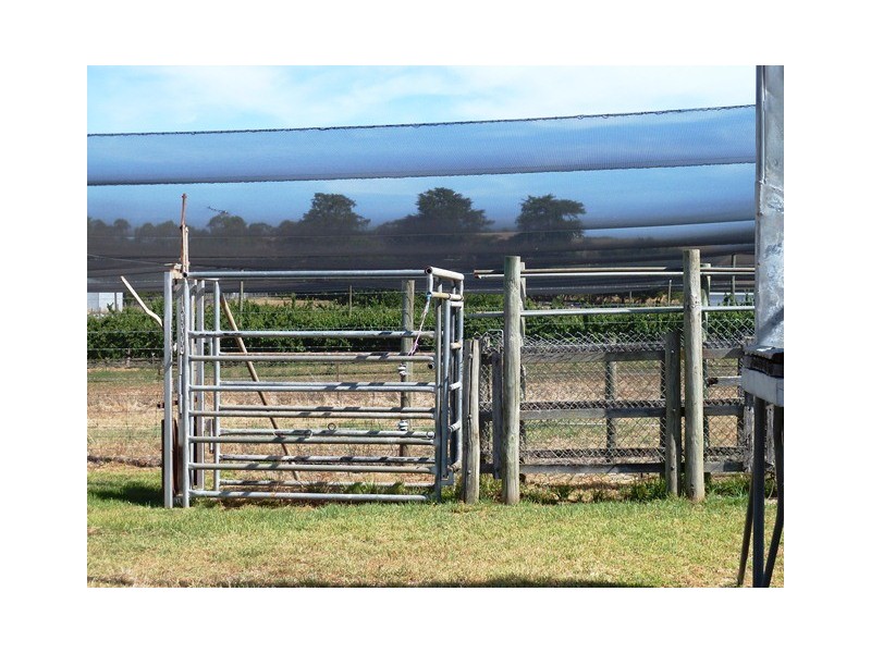 Lot 186 Yundi Road, Yundi SA 5172