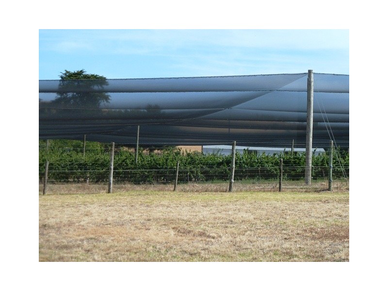 Lot 186 Yundi Road, Yundi SA 5172