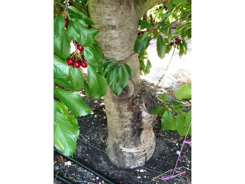 Lot 186 Yundi Road, Yundi SA 5172