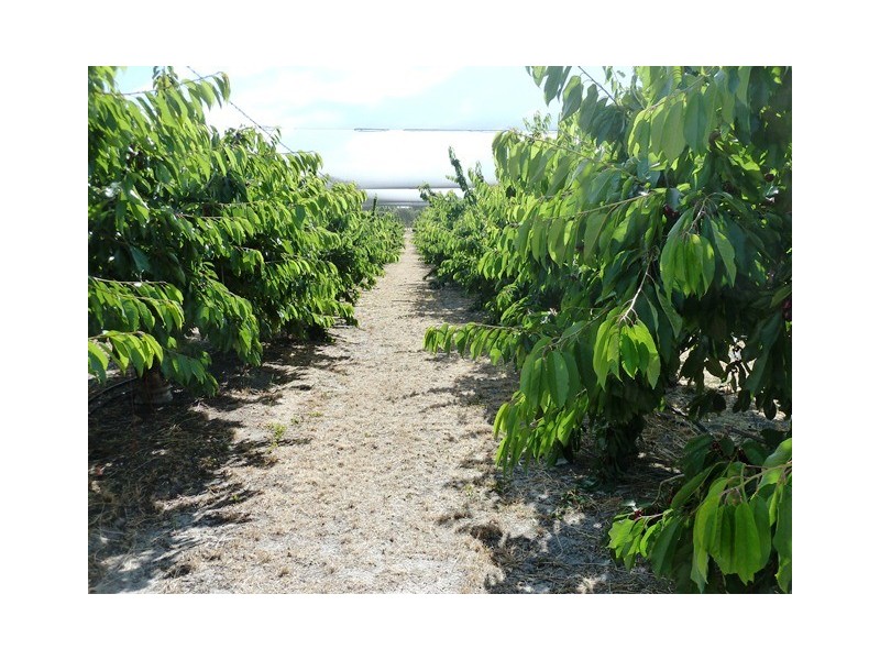 Lot 186 Yundi Road, Yundi SA 5172