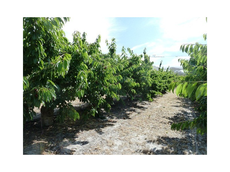 Lot 186 Yundi Road, Yundi SA 5172