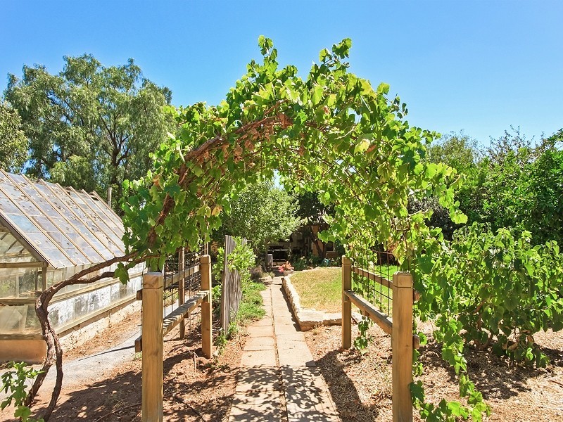 51 Tatachilla Road, Mclaren Vale SA 5171