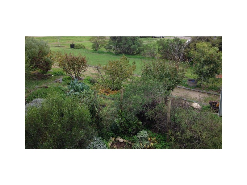 7 Tetragonia Walk, Aldinga SA 5173