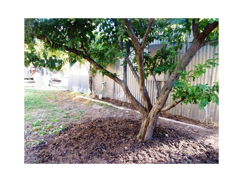 48 Giles Road, Willunga SA 5172