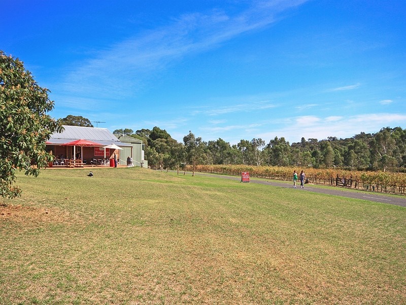 31 Kangarilla Road, Mclaren Vale SA 5171