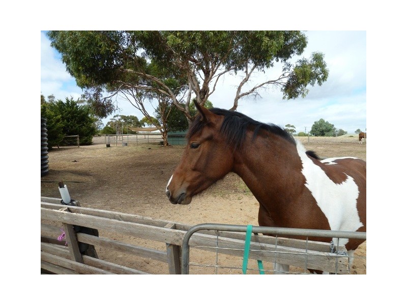 34 Branson Road, Mclaren Vale SA 5171