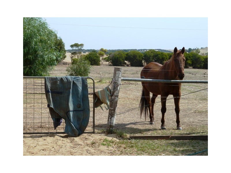 34 Branson Road, Mclaren Vale SA 5171