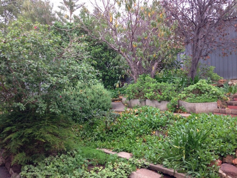 71 Oakridge Rise, Huntfield Heights SA 5163