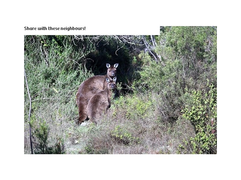 Lots 3 Allen Lashmar Rd, Antechamber Bay SA 5222