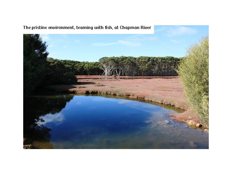 Lots 3 Allen Lashmar Rd, Antechamber Bay SA 5222