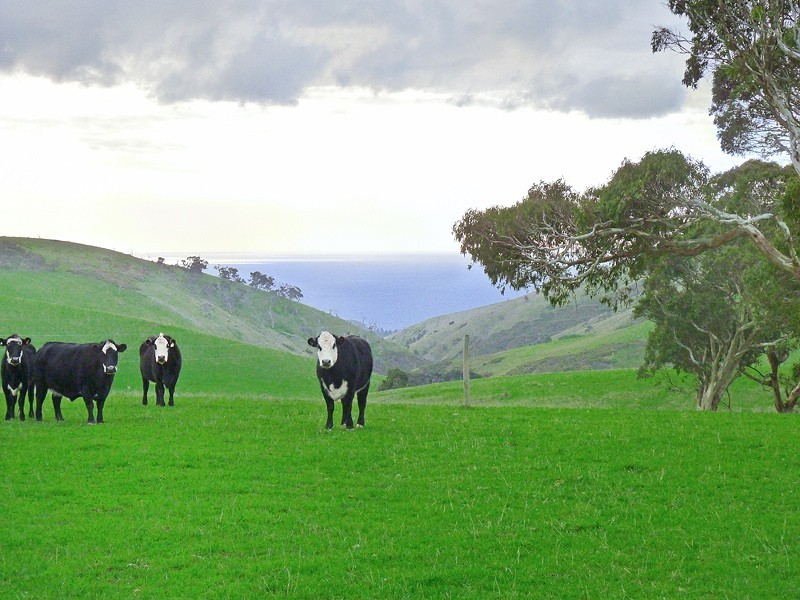 86 Bedlam Flat Road, Delamere SA 5204