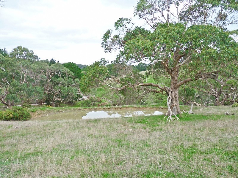 86 Bedlam Flat Road, Delamere SA 5204