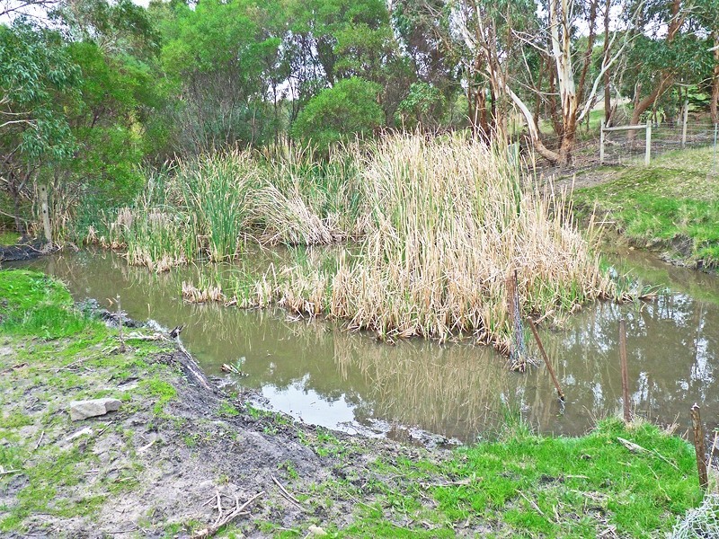 86 Bedlam Flat Road, Delamere SA 5204