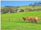 675 Pages Flat Road, Myponga SA 5202