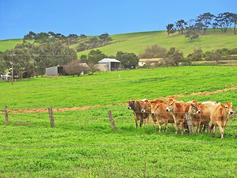 675 Pages Flat Road, Myponga SA 5202