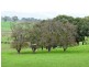 675 Pages Flat Road, Myponga SA 5202