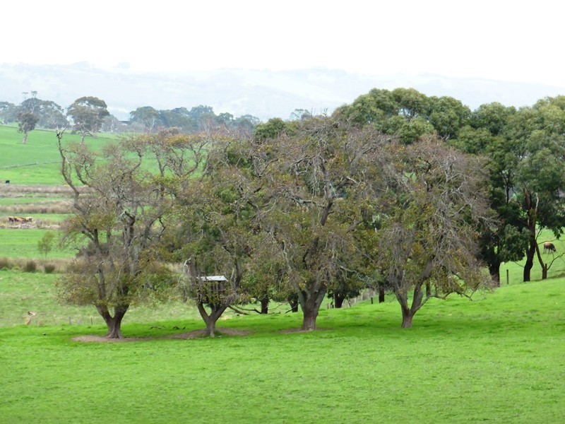 675 Pages Flat Road, Myponga SA 5202