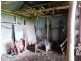 675 Pages Flat Road, Myponga SA 5202