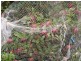 675 Pages Flat Road, Myponga SA 5202