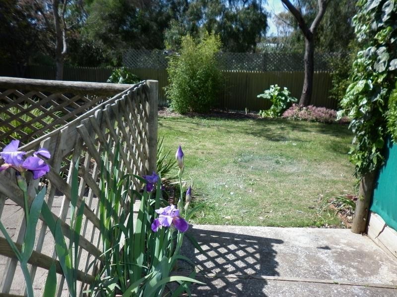 11 Luders Street, Mclaren Vale SA 5171