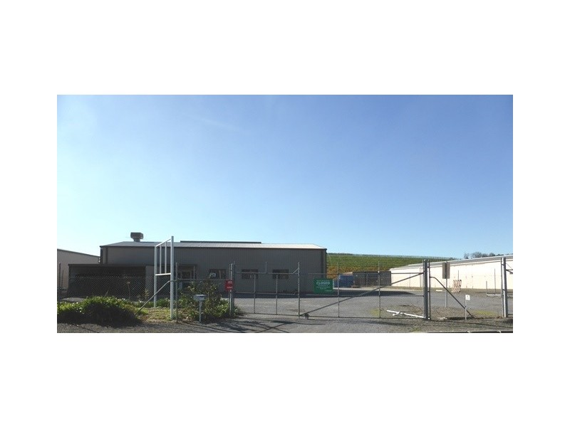 41 Old Mill Court, Mclaren Vale SA 5171