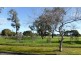 4 Spruce Avenue, Seaford SA 5169