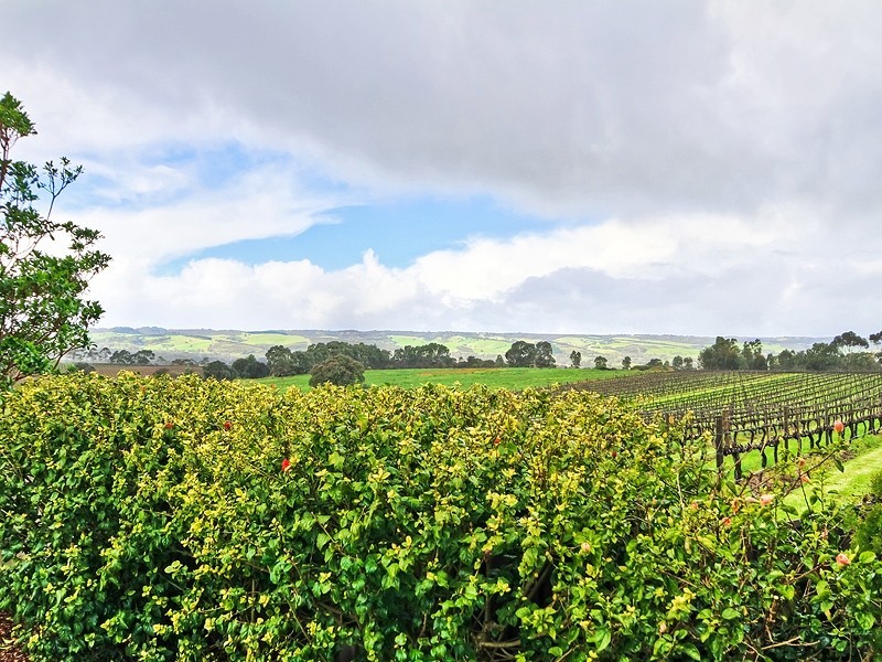 32 Wigley Drive, Mclaren Vale SA 5171