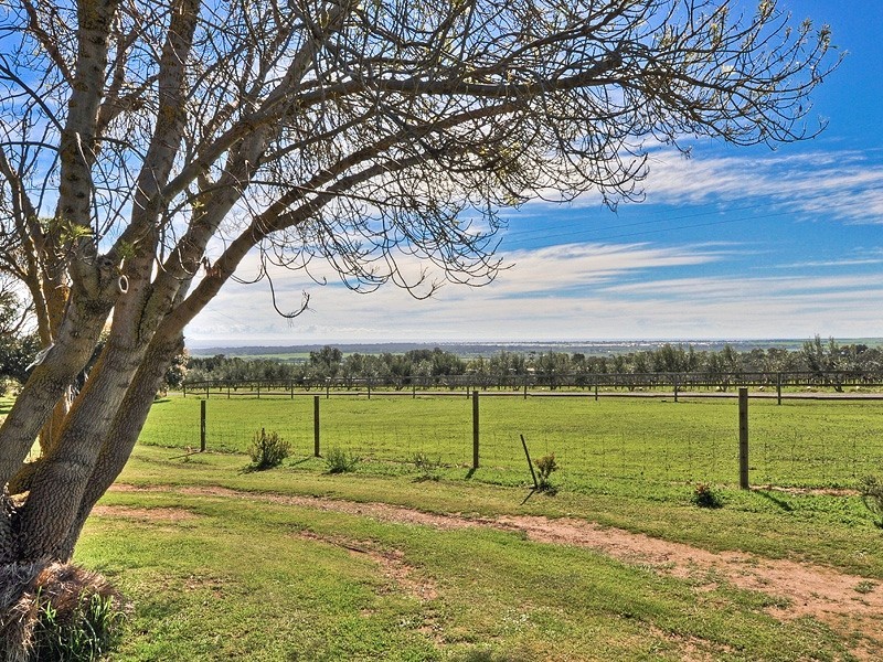 16 Chaff Mill Road, Sellicks Hill SA 5174