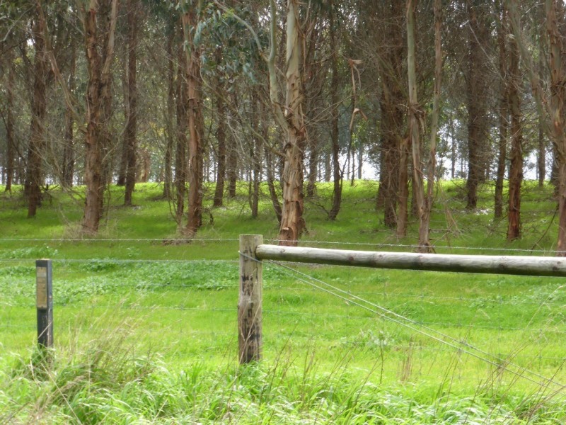 Lot 202 Munetta Road, Pages Flat SA 5172