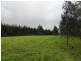 Lot 202 Munetta Road, Pages Flat SA 5172